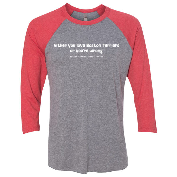 Either You Love BTs or You're Wrong Light Graphic Unisex Baseball Tee Thumbnail