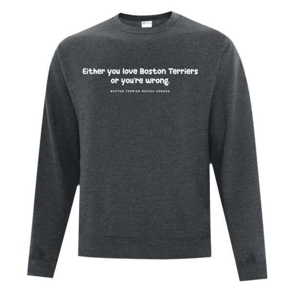 Either You Love BTs or You're Wrong Light Graphic Sweatshirt Thumbnail