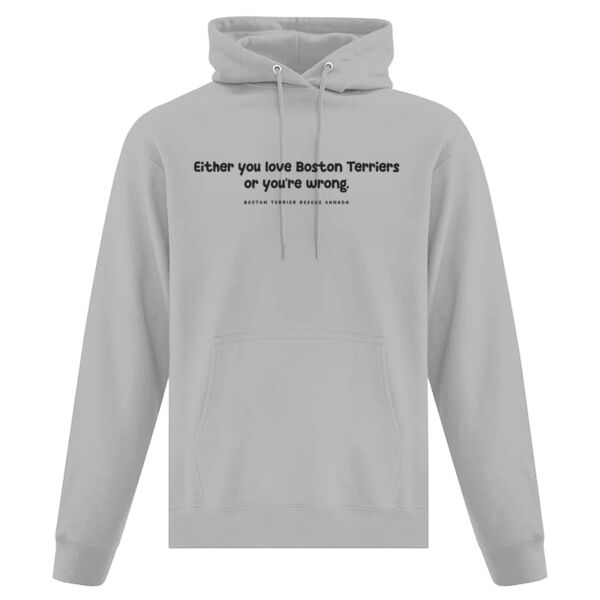 Either You Love BTs or You're Wrong Dark Graphic Unisex Hoodie Thumbnail