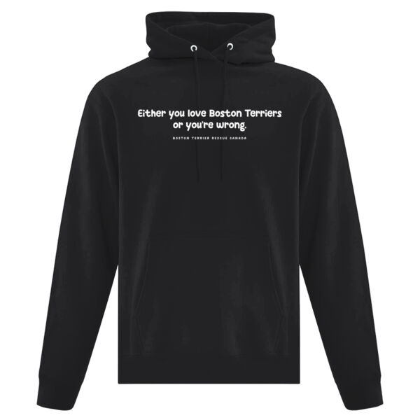Either You Love BTs or You're Wrong Light Graphic Unisex Hoodie Thumbnail