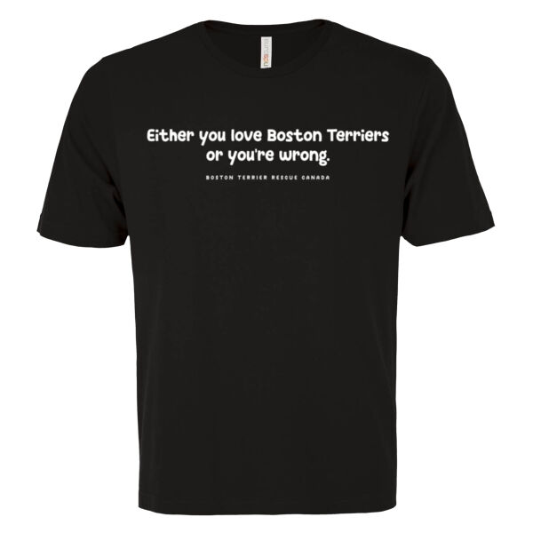 Either You Love BTs or You're Wrong Light Graphic Kids Tee Thumbnail