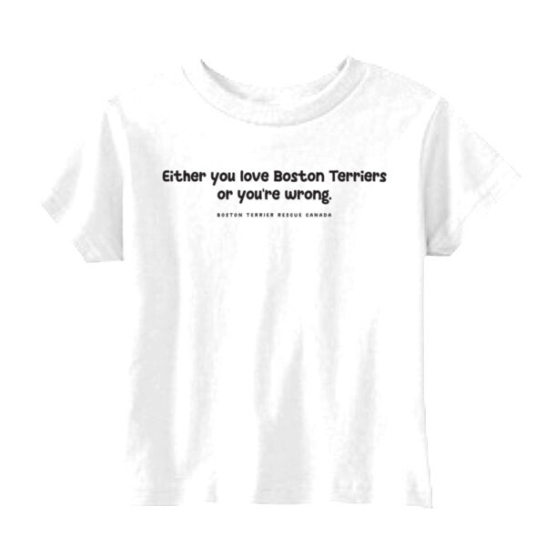 Either You Love BTs or You're Wrong Dark Graphic Toddler Tee Thumbnail