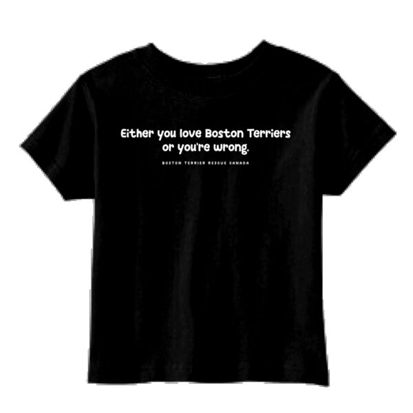 Either You Love BTs or You're Wrong Light Graphic Toddler Tee Thumbnail